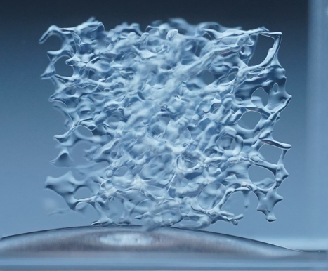 Printed hydrogel bone scaffold with an irregular, trabecular-like porous structure