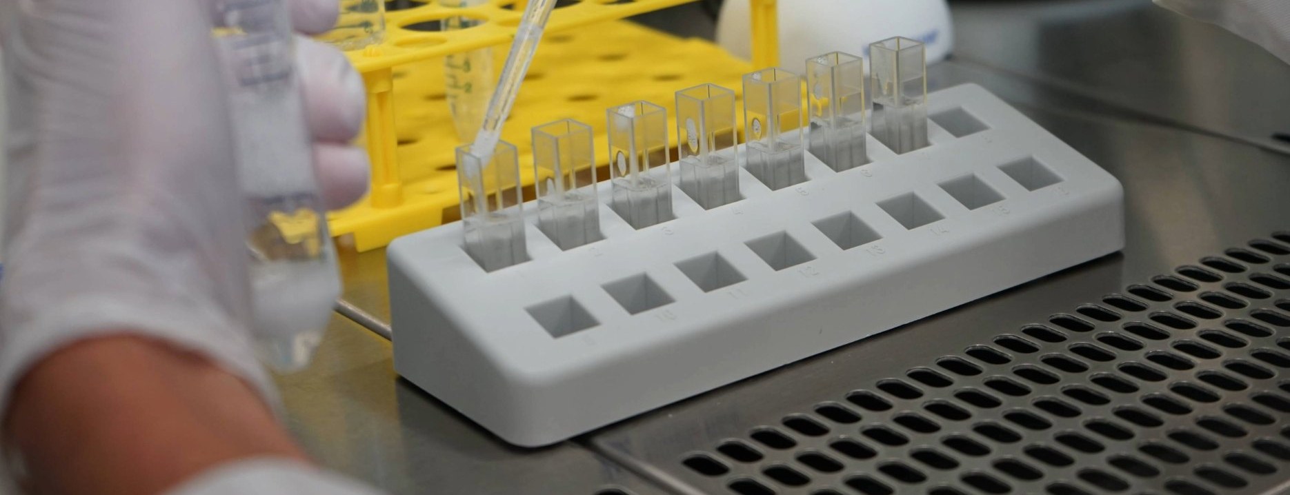 Researcher pipetting samples into cuvettes in a lab