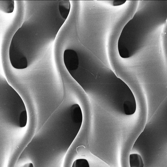 Scanning electron micrograph of a printed hydrogel lattice with smooth, wavy walls and open pores