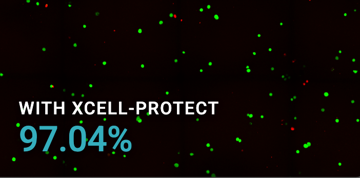 HepG2 cells with Xcell-protect, 97.04% viability